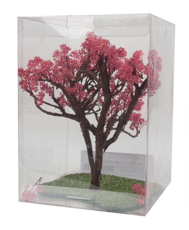 Japanese Cherry Tree -- 5 - 7" 12.7 - 15.2cm Tall