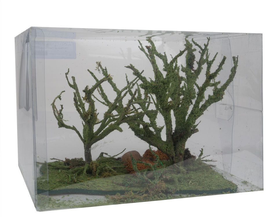 Mossy Oak Trees -- 2 Trees 6 - 8" 15.2 - 20.3cm Tall