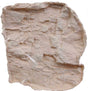Rock Mold -- Medium-1