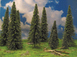 Spruce Tree -- 2 to 3"  5.1 to 7.6cm pkg(15)-1