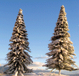 Assorted Pine Trees w/Snow -- 3 to 9"  7.6 to 22.9cm pkg(7)-1