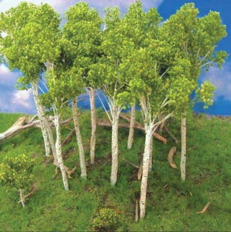 Fall Aspen Tree -- 2 to 3"  5.1 to 7.6cm pkg(7)-2