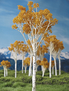 Fall Aspen Tree -- 2 to 3"  5.1 to 7.6cm pkg(7)-1