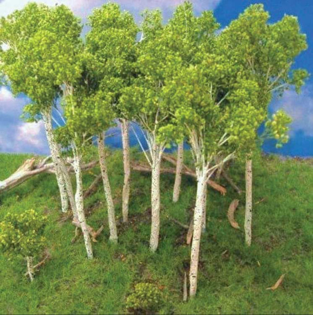 Fall Aspen Tree -- 4 to 5"  10.2 to 12.7cm pkg(6)-1