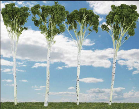 Fall Aspen Tree -- 4 to 5"  10.2 to 12.7cm pkg(6)-2