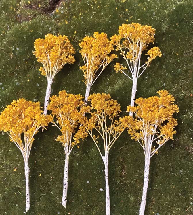 Fall Aspen Tree -- 4 to 5"  10.2 to 12.7cm pkg(6)-3