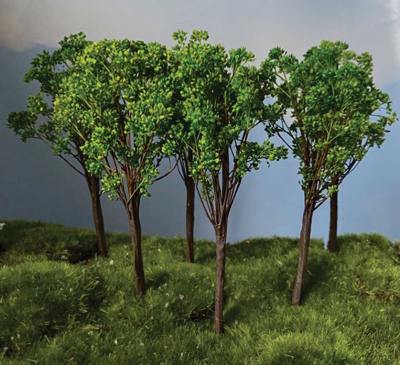 Oak Tree -- 2 to 3"  5.1 to 7.6cm pkg(4)-2