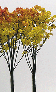 Oak Tree -- 4 to 6"  10.2 to 15.2cm pkg(6)-1