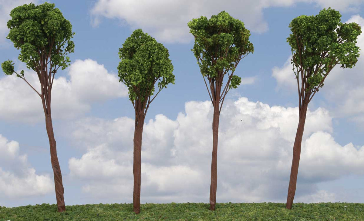 Oak Tree -- 4 to 6"  10.2 to 15.2cm pkg(6)-2