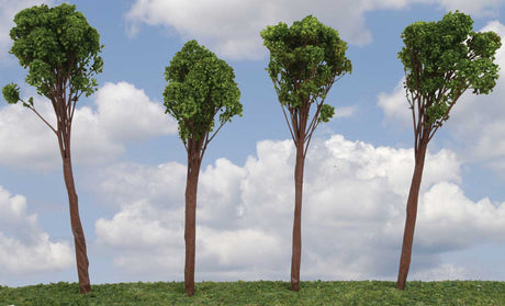 Oak Tree -- 4 to 6"  10.2 to 15.2cm pkg(6)-2