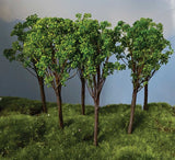 Oak Tree -- 4 to 6"  10.2 to 15.2cm pkg(6)-3