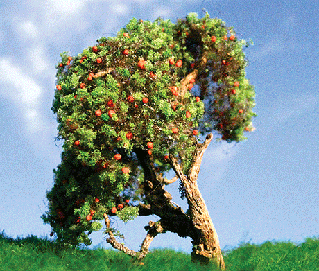 Apple Tree -- 3 to 5"  7.6 to 12.7cm pkg(2)-1