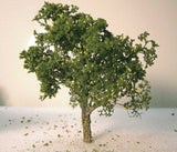 Grapefruit Tree -- 3 to 5"  7.6 to 12.7cm pkg(2)-2