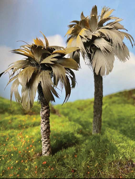 Mexican Palm Tree -- 5-6" pkg(2)-2