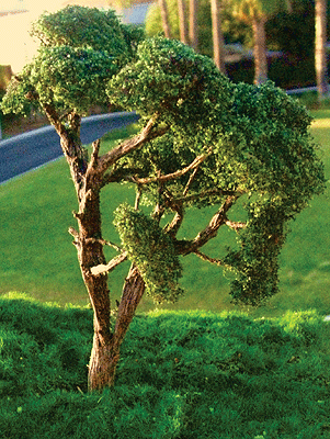 Hardwood Tree -- 2 to 3"  5.1 to 7.6cm pkg(3)-1