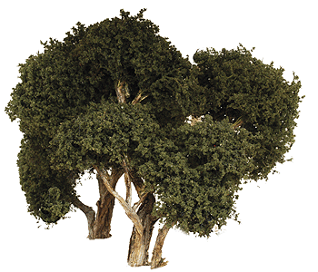 Hardwood Tree -- 6"  15.2cm pkg(2)-1