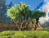 Hardwood Tree -- 6"  15.2cm pkg(2)-4