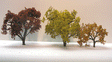 Fall Hardwood Tree -- 2-3" pkg(2)-1