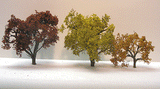 Fall Hardwood Tree -- 2-3" pkg(2)-1