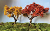 Fall Hardwood Tree -- 2-3" pkg(2)-2