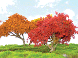 Fall Hardwood Tree -- 4-5" pkg(2)-1
