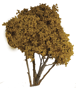 Fall Hardwood Tree -- 8-10" pkg(1)-1