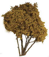 Fall Hardwood Tree -- 8-10" pkg(1)-1