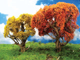Fall Hardwood Tree -- 8-10" pkg(1)-2
