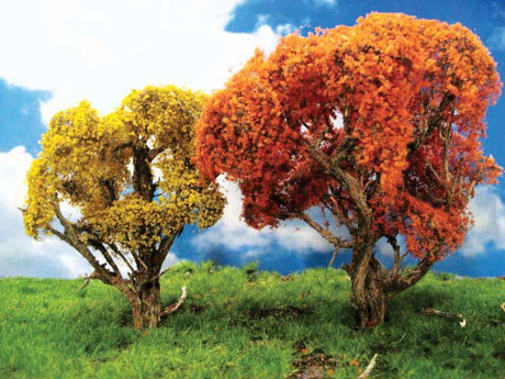 Fall Hardwood Tree -- 8-10" pkg(1)-2