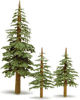 Lodgepole Pine Trees -- 2 to 5"  5.1 to 12.7cm pkg(6)-2