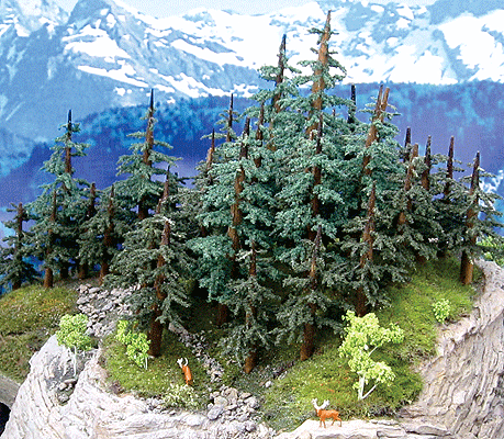 Lodgepole Pine Trees -- 2 to 5"  5.1 to 12.7cm pkg(6)-1