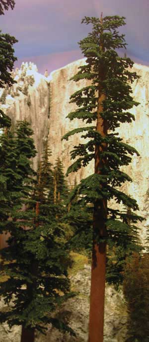 Redwood Trees -- 6 to 9"  15.2 to 22.9cm pkg(2)-2