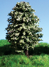 Redwood Trees -- 6 to 9"  15.2 to 22.9cm pkg(2)-1