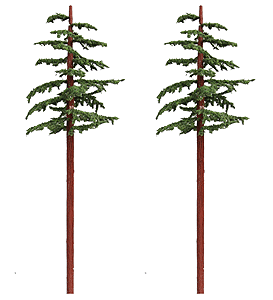 Redwood Trees -- 10 to 11"  25.4 to 27.9cm pkg(2)-1