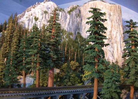 Redwood Trees -- 10 to 11"  25.4 to 27.9cm pkg(2)-2