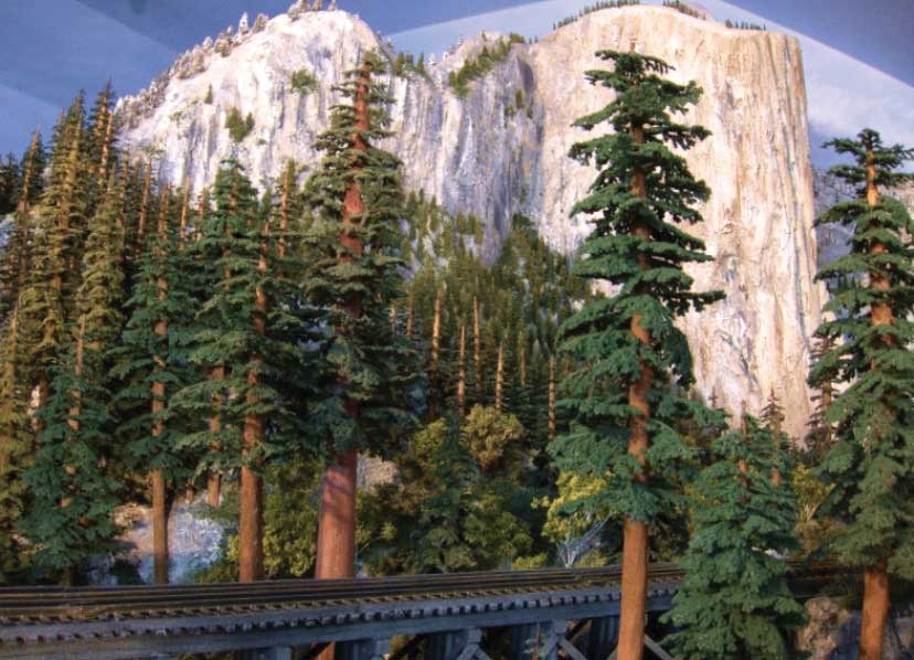 Redwood Trees -- 14-18"  35.6 - 45.7cm pkg(1)-3