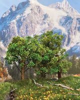 Maple Trees -- 3 - 4"  7.6 - 10.2cm Tall pkg(3)-2