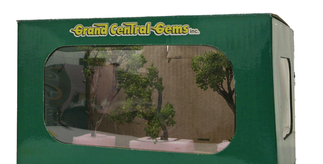 Maple Trees -- 3 - 4"  7.6 - 10.2cm Tall pkg(3)-1
