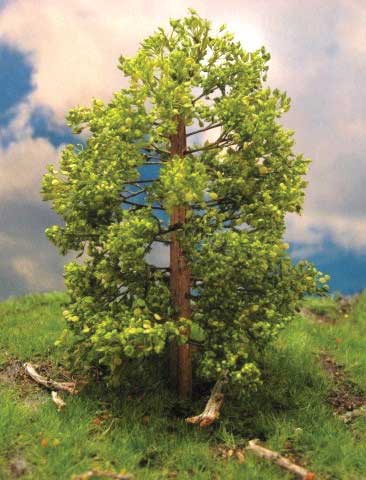 Maple Trees -- 3 - 4"  7.6 - 10.2cm Tall pkg(3)-4