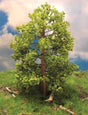Maple Trees -- 5 - 6"  12.7 - 15.2cm Tall pkg(3)-1