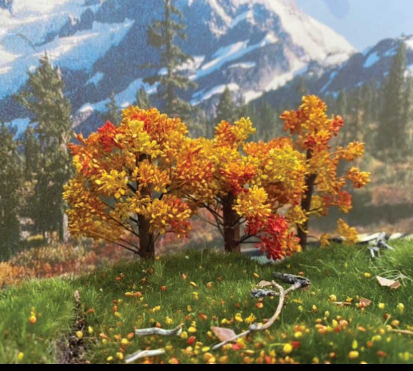 Fall Maple Trees -- 3 - 4"  7.6 - 10.2cm Tall pkg(3)