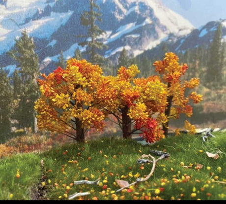 Fall Maple Trees -- 3 - 4"  7.6 - 10.2cm Tall pkg(3)