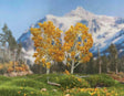 Fall Birch Trees -- Medium pkg(2)
