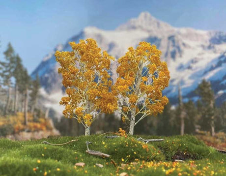 Fall Birch Trees -- Medium pkg(2)