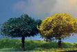 Deciduous Trees -- pkg(2)