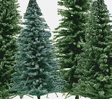 Spruce Trees -- 5"  12.7cm pkg(10)-1