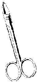 Tiny tinsnip