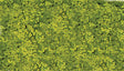 Foliage Pad - 11 x 5-1/2"  27.9 x 14cm -- Light Green