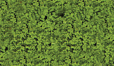 Foliage Pad - 11 x 5-1/2"  27.9 x 14cm -- Medium Green-2