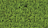Foliage Pad - 11 x 5-1/2"  27.9 x 14cm -- Medium Green-2